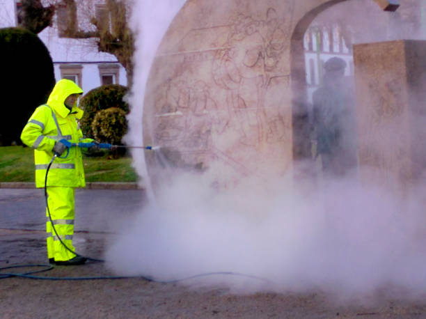 Best Roof Pressure Washing  in Newberry, SC