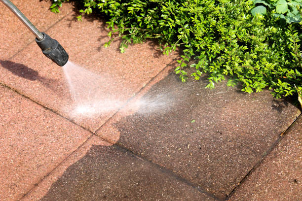 Best Roof Power Washing Services  in Newberry, SC